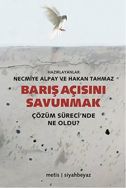 Barış Açısını Savunmak book cover
