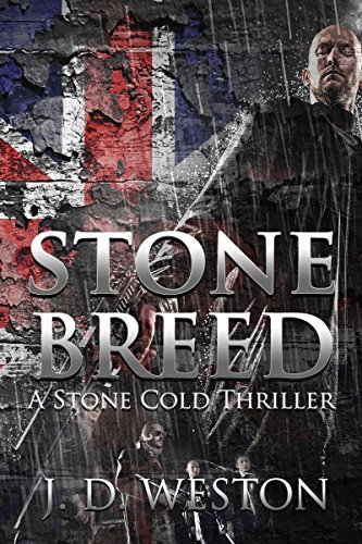 Stone Cold book cover 1