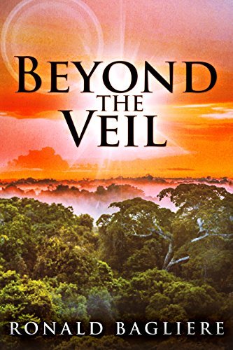 Beyond The Veil by Ronald Bagliere | Goodreads