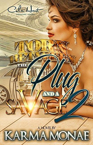 Torn Between The Plug And A Savage 2 book cover