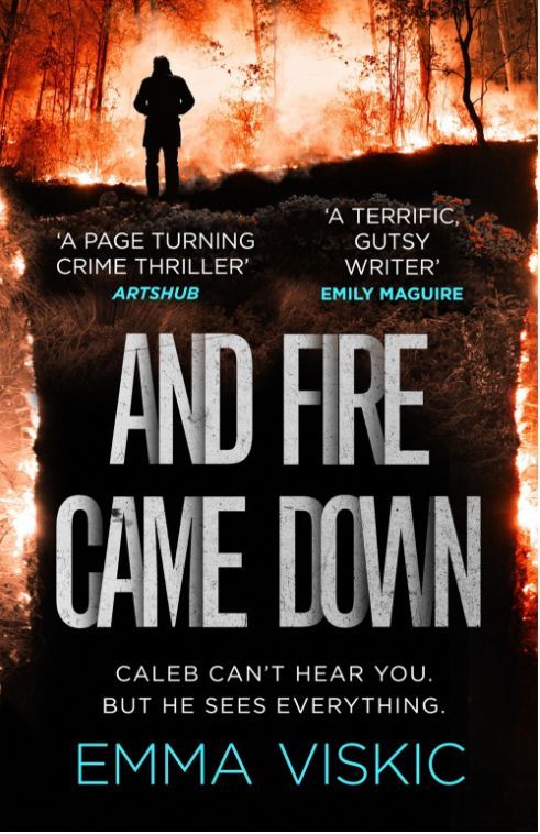 And Fire Came Down (Caleb Zelic #2)
