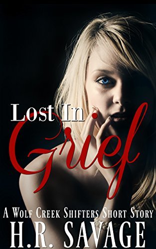 Lost in Grief book cover