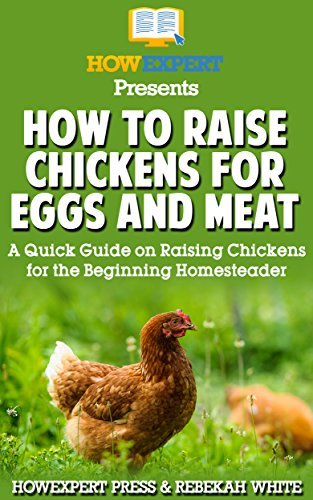 How to Raise Chickens for Eggs and Meat: A Quick Guide on Raising ...