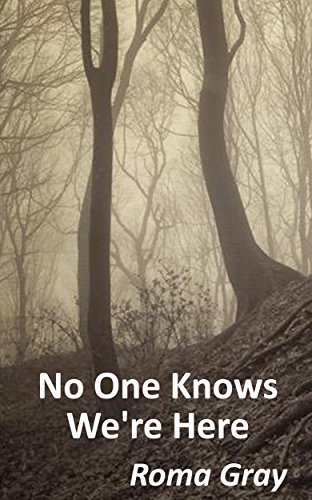 No One Knows We're Here book cover