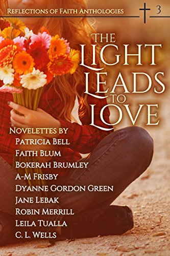 The Light Leads to Love book cover