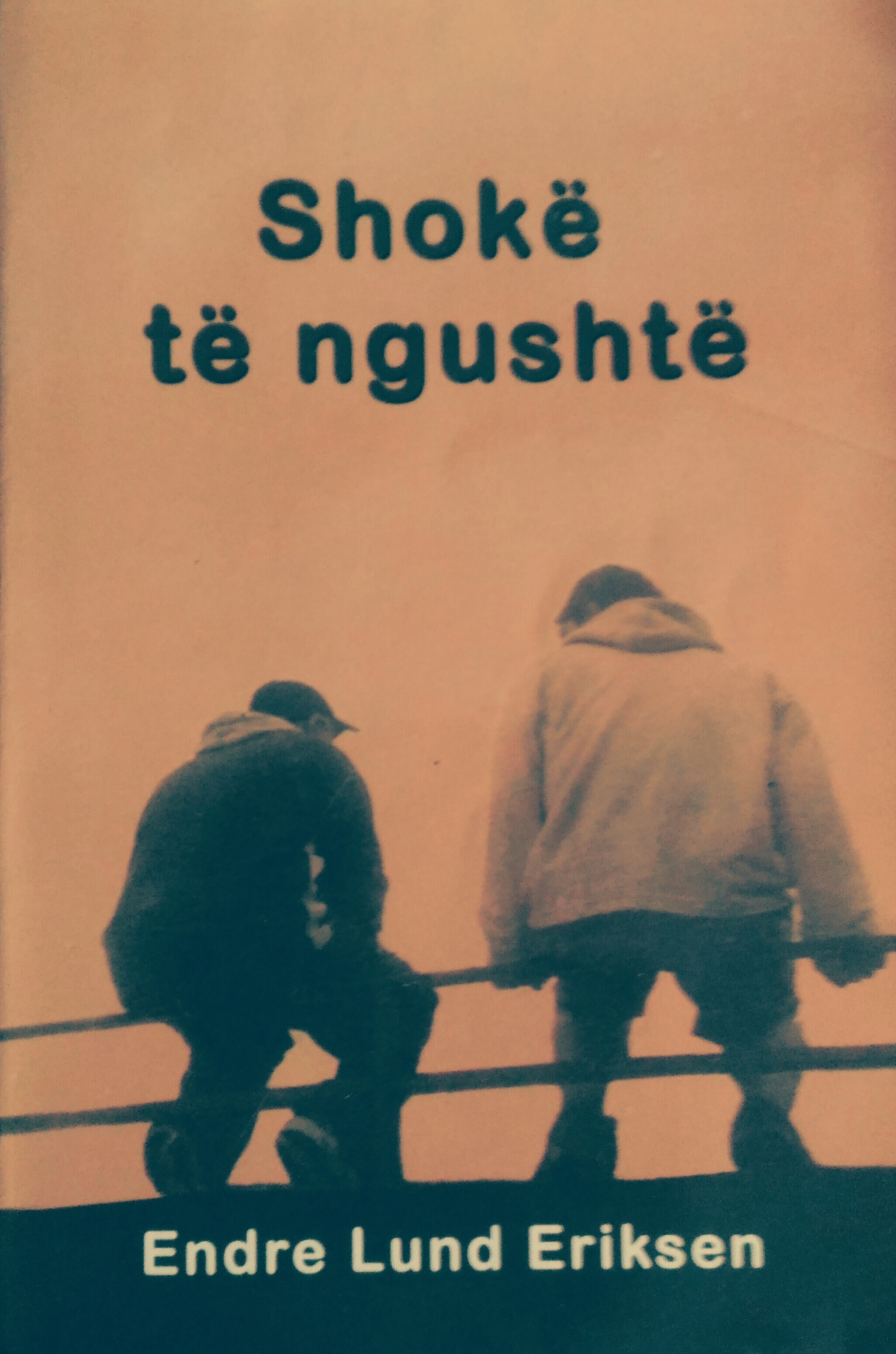 Shokë të ngushtë book cover
