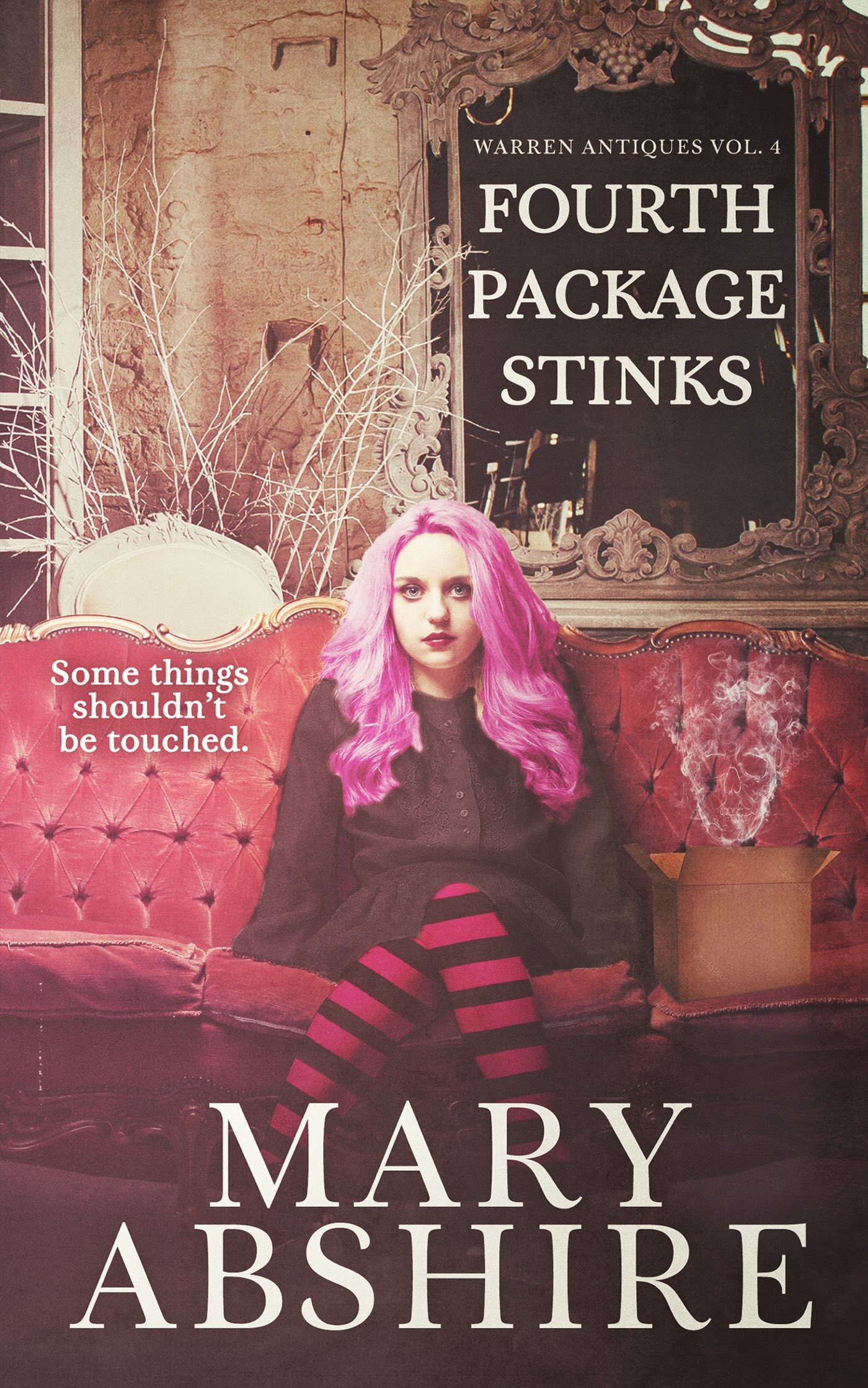 Fourth Package Stinks book cover