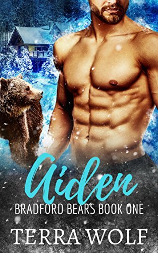 Aiden book cover
