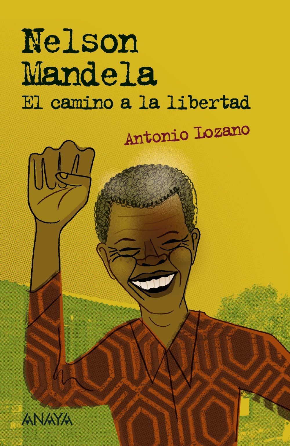 Nelson Mandela. El camino a la libertad book cover