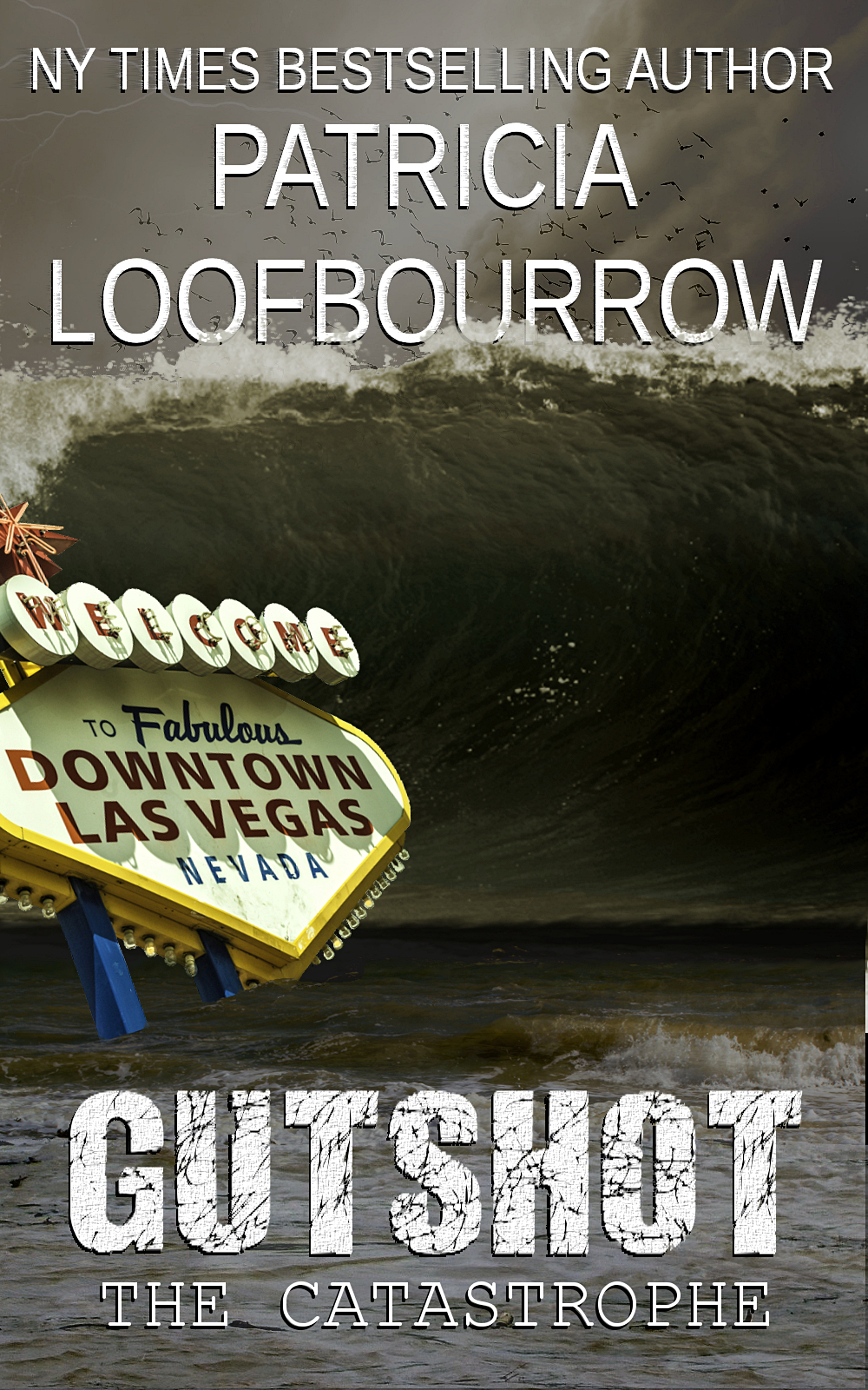 Red Dog Conspiracy book cover 3