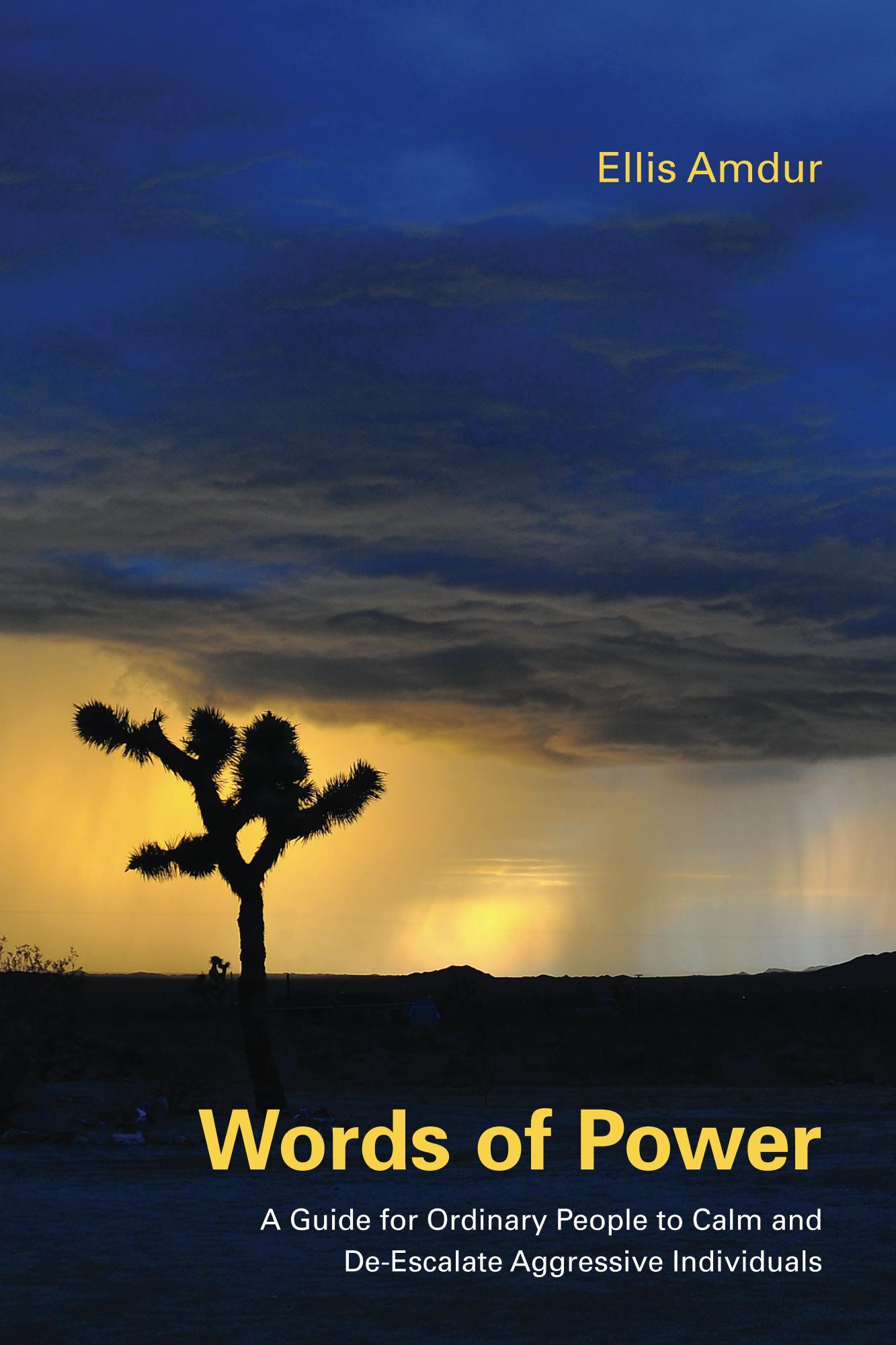 Words of Power book cover