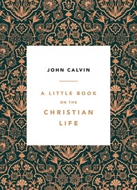 A Little Book on the Christian Life book cover