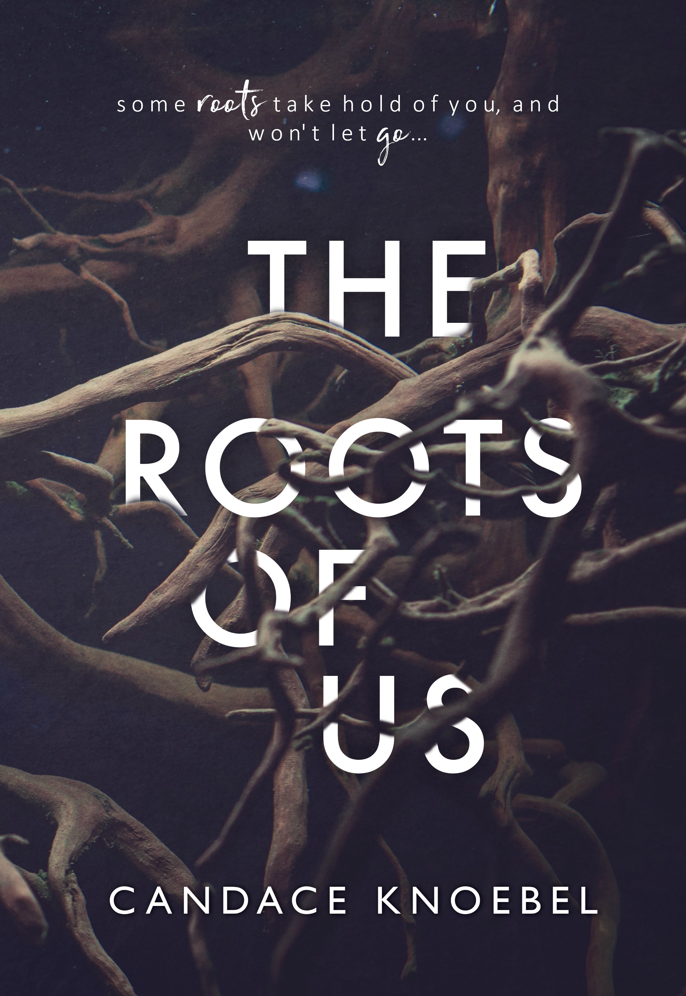 The Roots of Us by Candace Knoebel | Goodreads