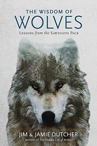The Wisdom of Wolves: Lessons from the Sawtooth Pack