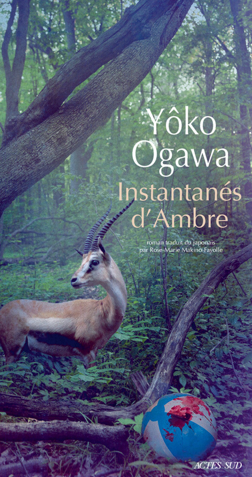 Instantanés d'Ambre book cover