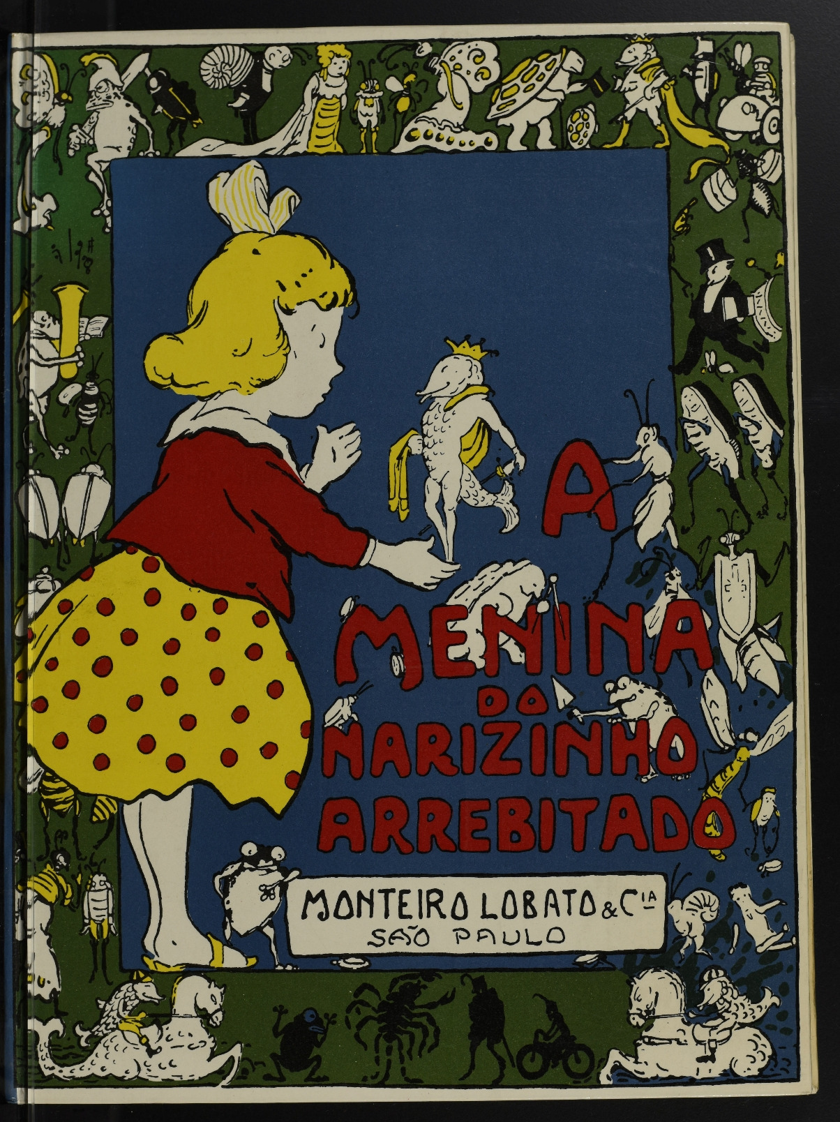 A menina do narizinho arrebitado book cover