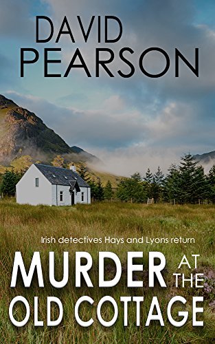 Galway Homicide: Hays & Lyons book cover 2