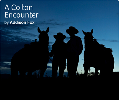 The Coltons of Texas book cover 2