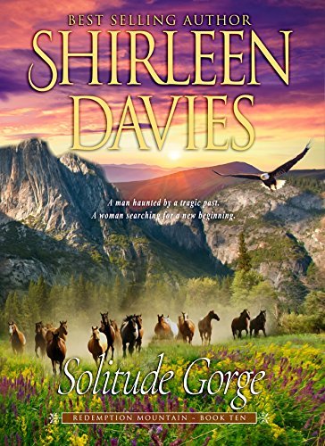 Solitude Gorge book cover