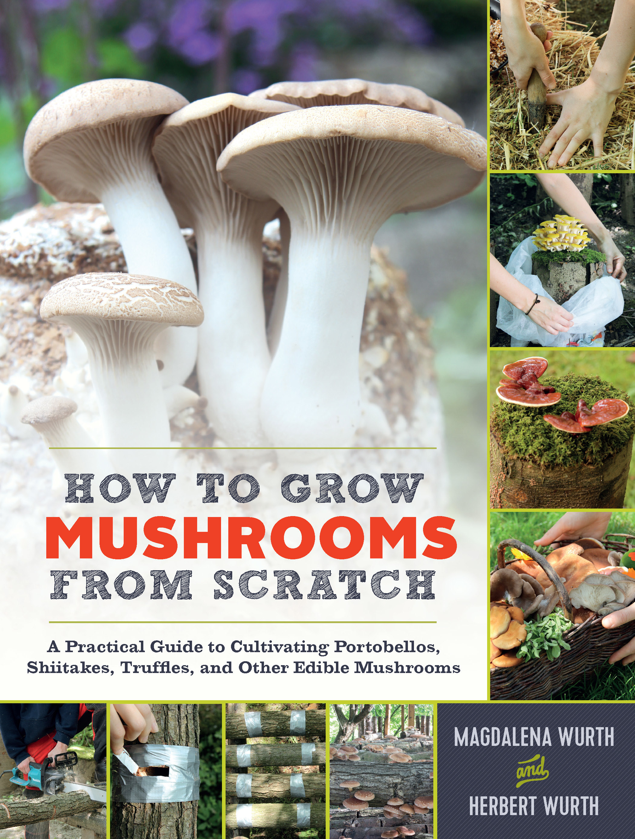 How to Grow Mushrooms from Scratch A Practical Guide to Cultivating