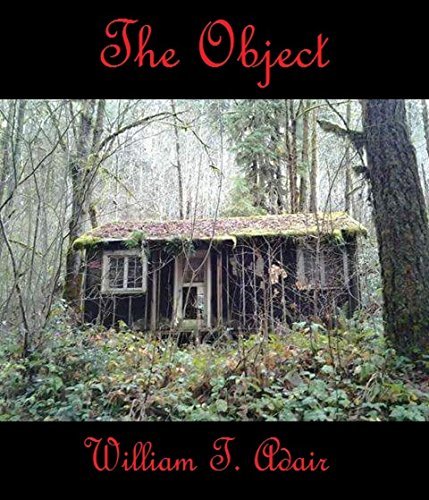 The Object: A novella of extreme horror