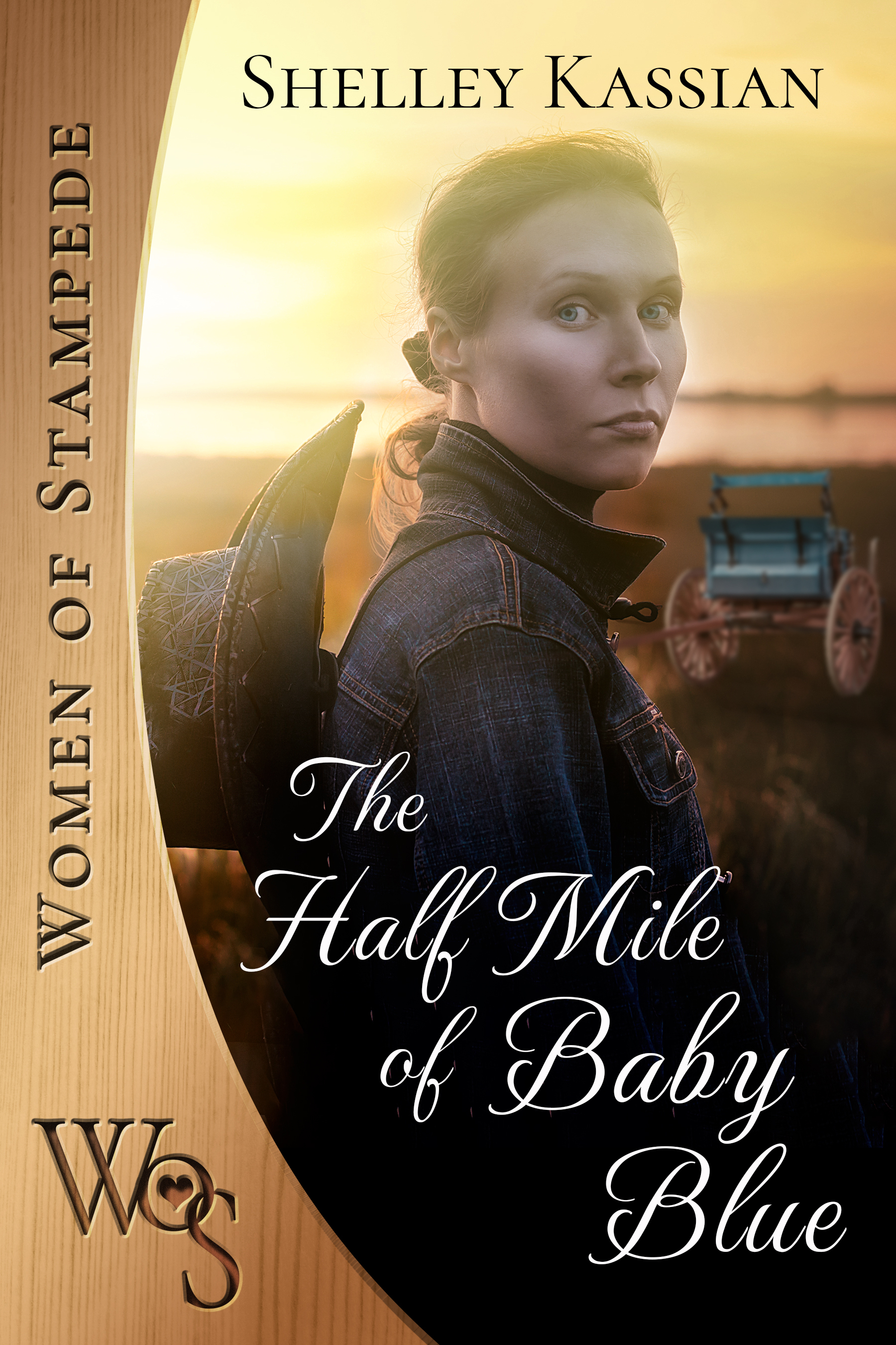 The Half Mile of Baby Blue book cover