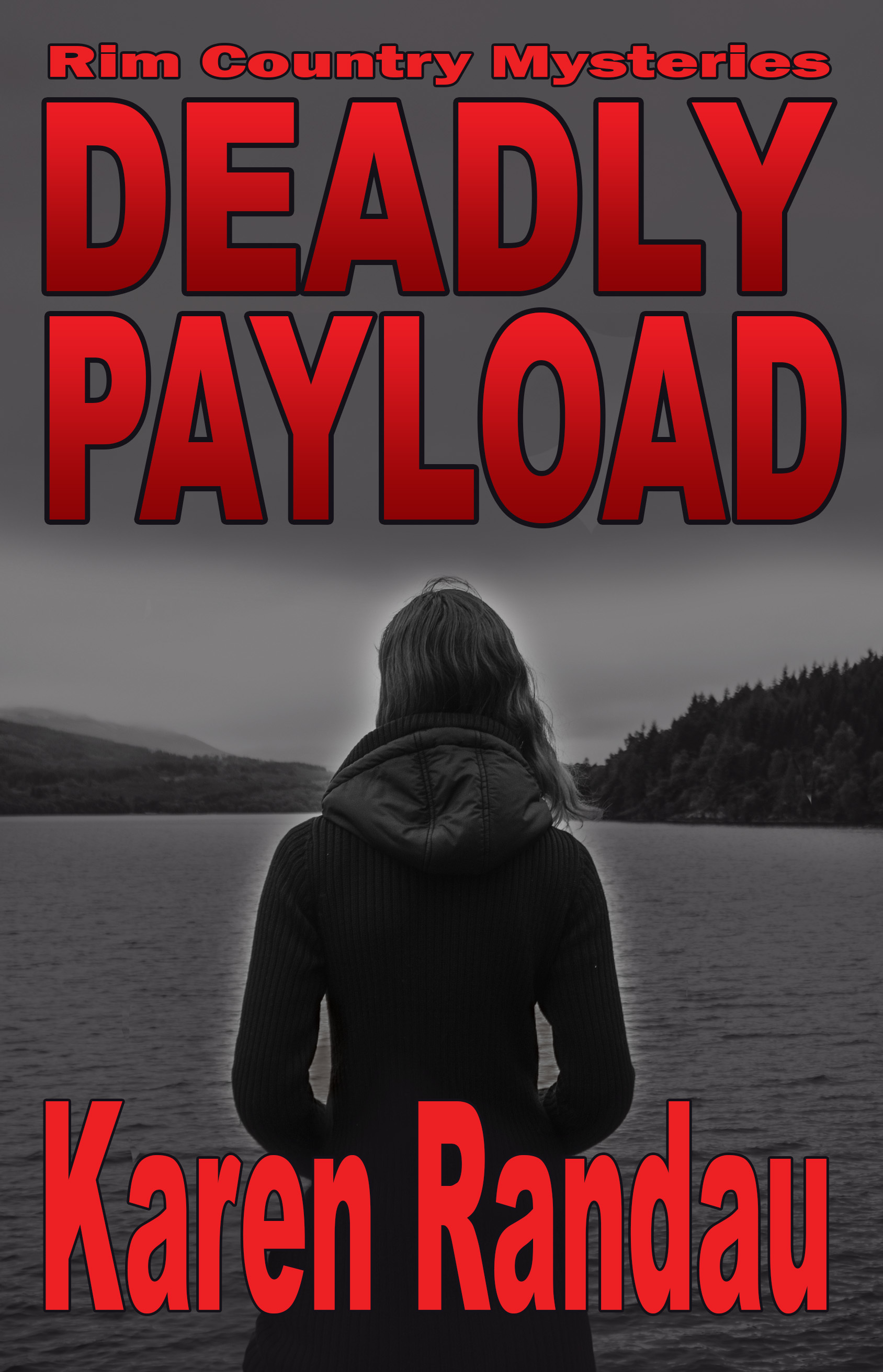 Rim Country Mysteries book cover 3