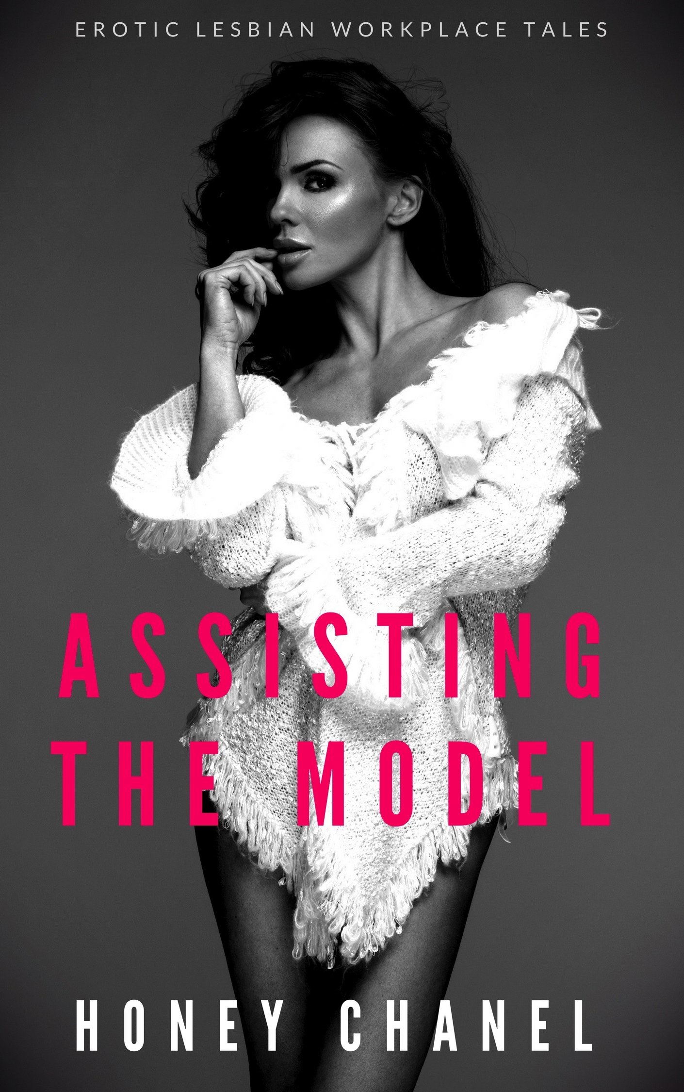 Assisting the Model book cover