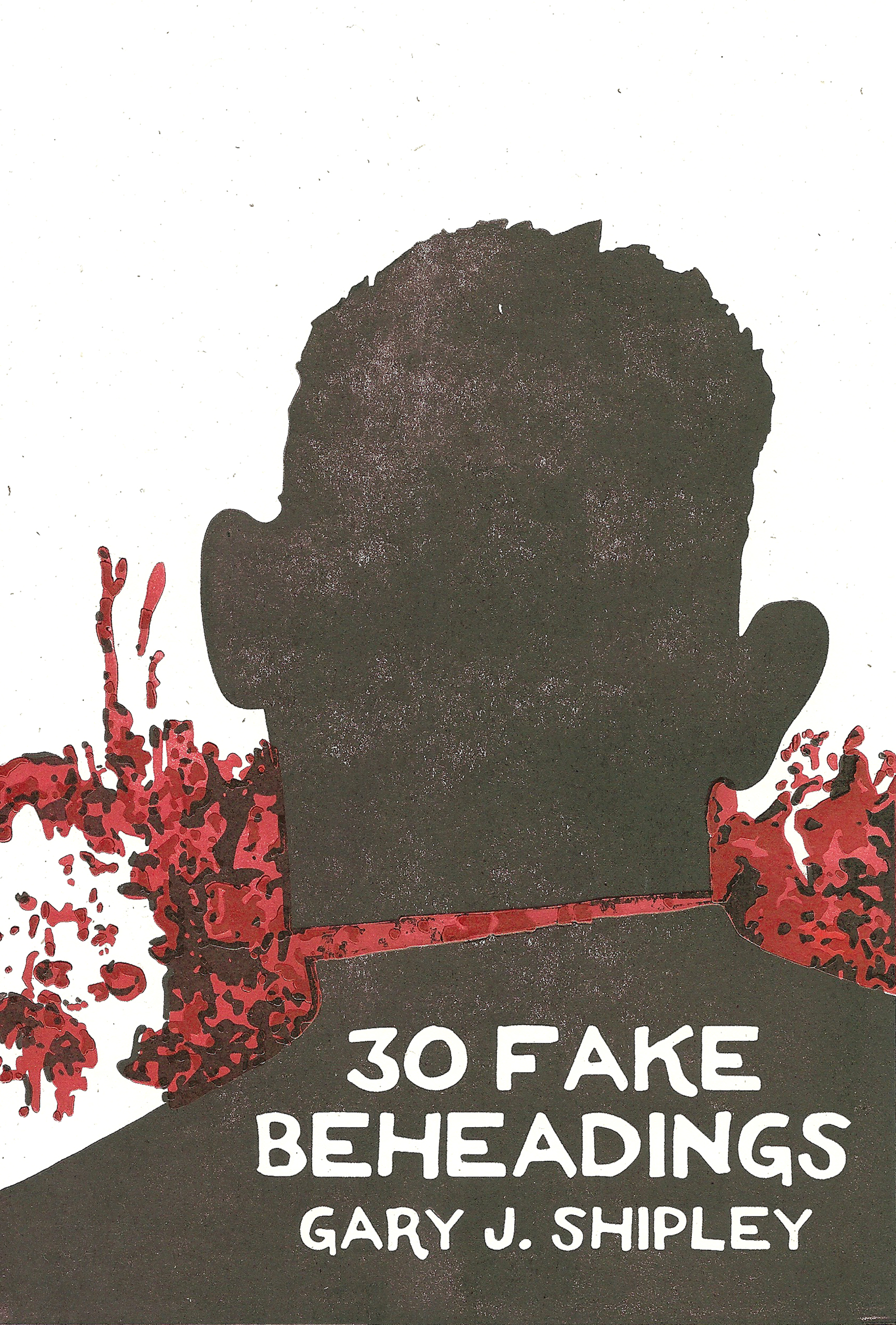 30 Fake Beheadings book cover