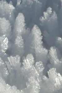 Coeus