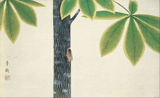 "The cry of the cicada" - Classic Japanese Haiku Poem by Matsuo Basho ...