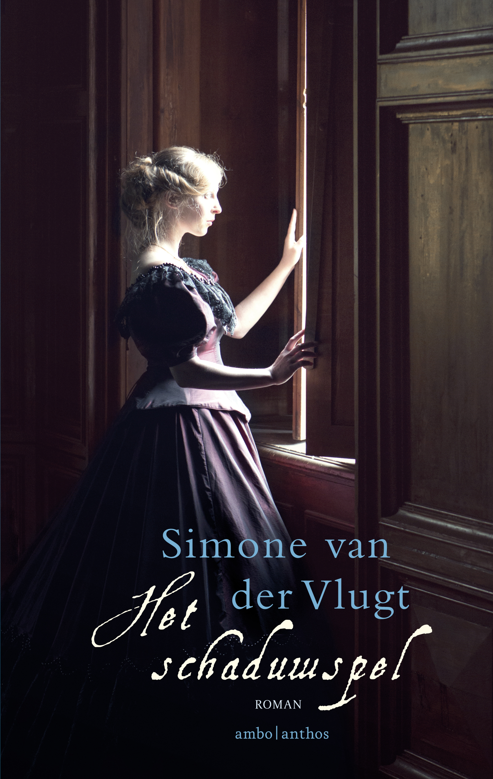 Het schaduwspel book cover