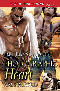 Photographic Heart book cover