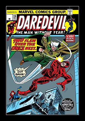 Daredevil (1964-1998) #116 book cover
