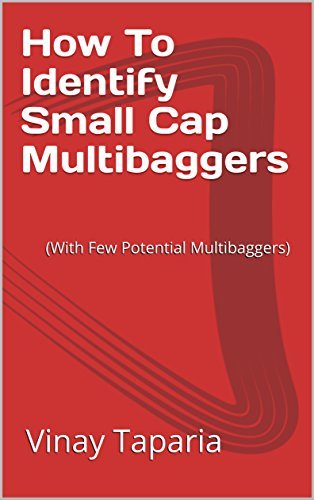 How To Identify Small Cap Multibaggers: