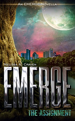 The Assignment book cover