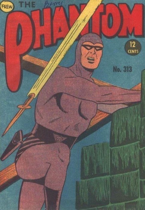 The Phantom #313 book cover