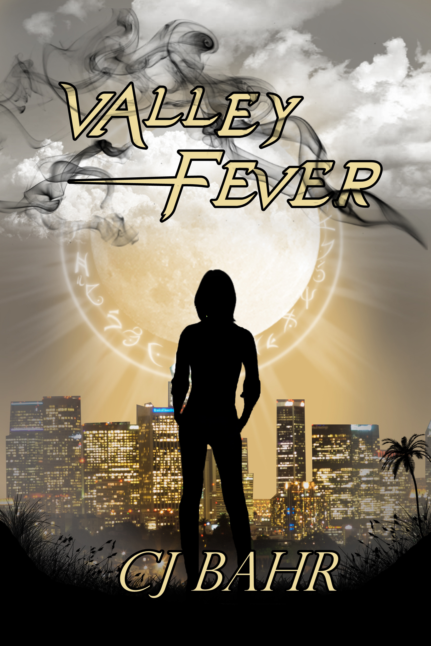 Valley Fever book cover
