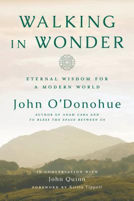 Walking in Wonder book cover