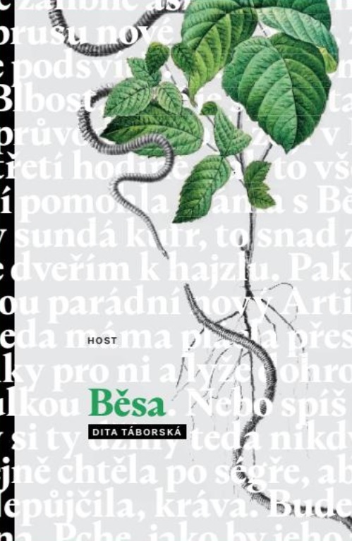 Běsa