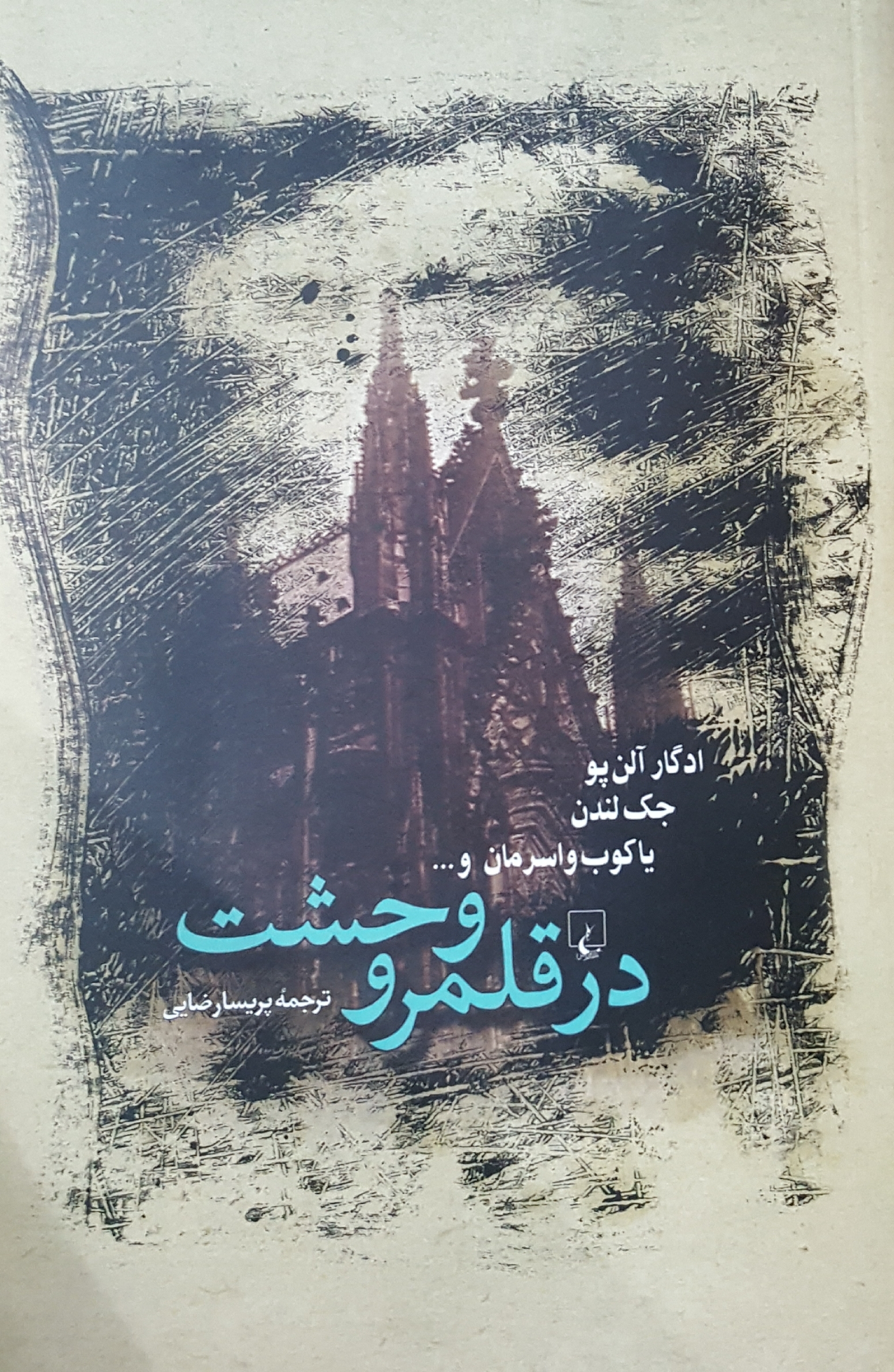 در قلمرو وحشت book cover