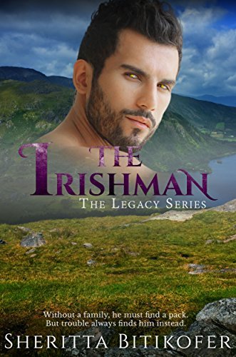 The Irishman book cover