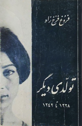 Another Birth book cover