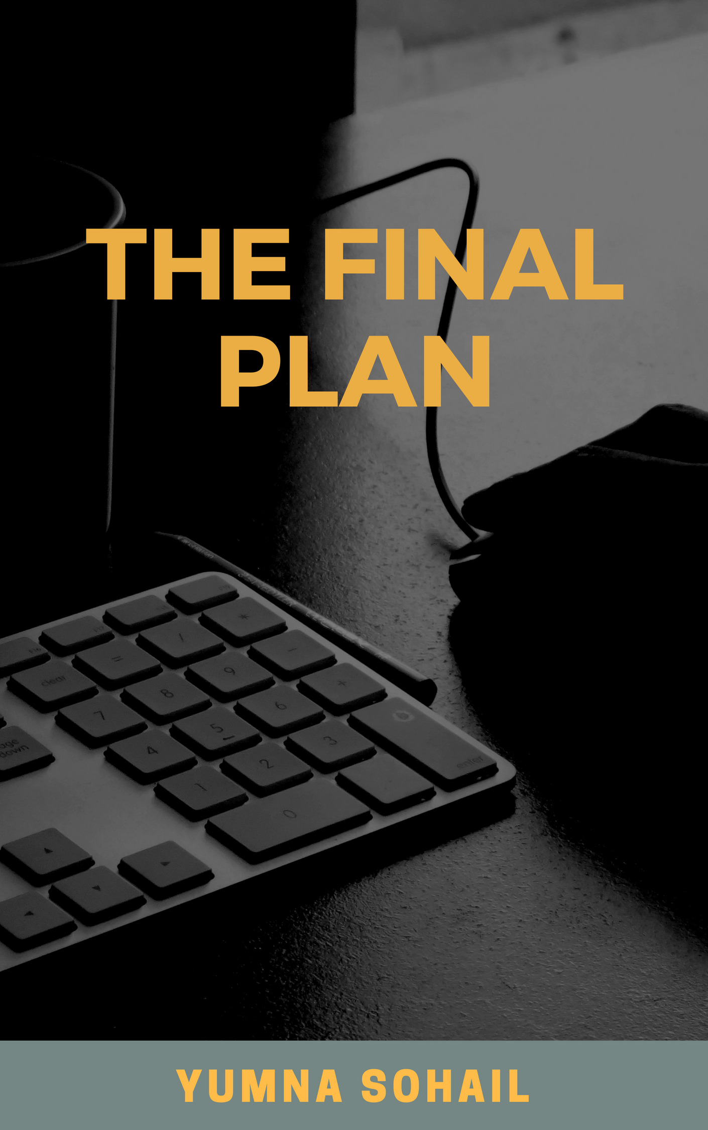 The Final Plan by Yumna Sohail | Goodreads