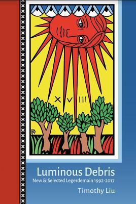 Luminous Debris book cover