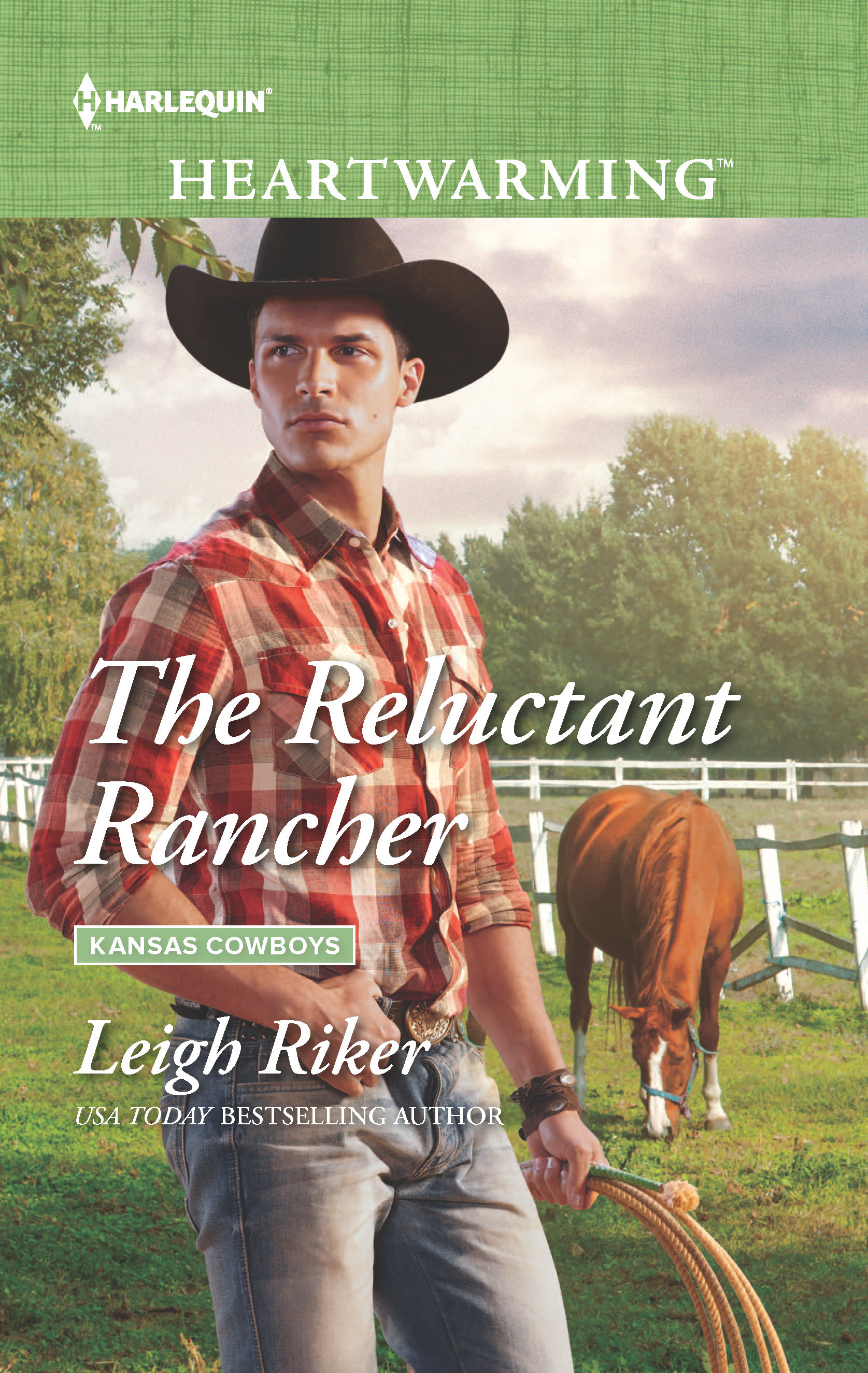 Kansas Cowboys book cover 1