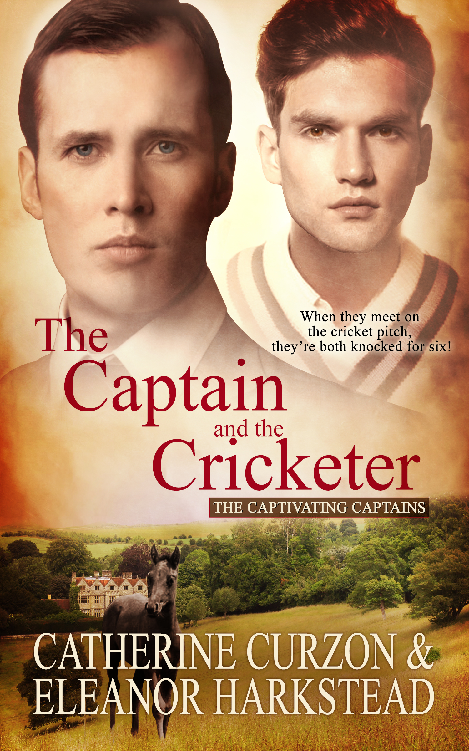 The Captain and the Cricketer book cover