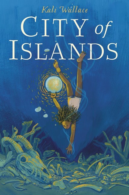 City of Islands book cover