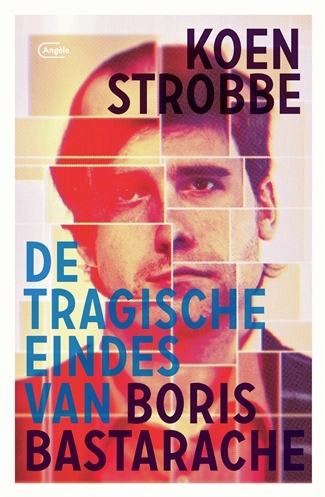 De tragische eindes van Boris Bastarache book cover