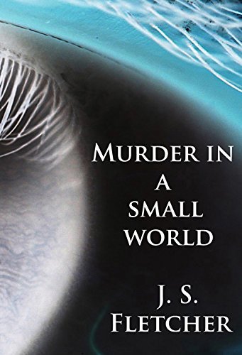 Murder in a small world book cover